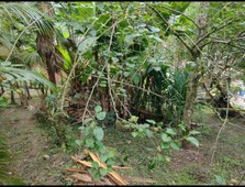 Terreno no Bairro Progresso em Blumenau com 330 m²