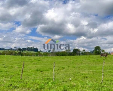 Terreno Urbano com 3.500 m² em Campo Alegre