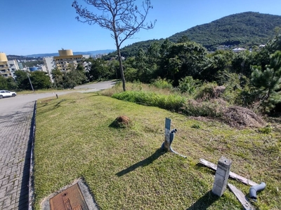 Terreno em Itacorubi, Florianópolis/SC de 0m² à venda por R$ 1.141.000,00