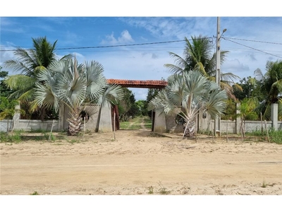 Chácara em Castanha, Monte Alegre/RN de 25000m² 1 quartos à venda por R$ 249.000,00
