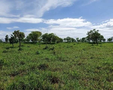 Área de meio hectare boa localização