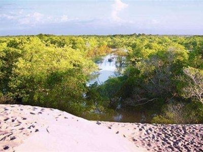 Ilha na baía do tubarão - maranhão