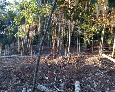Lote/Terreno para venda possui 400 metros quadrados em Tarumã - Manaus - Amazonas