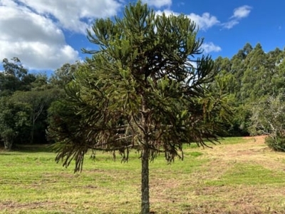 Sítios á partir de hectare em condomínio fechado na parada 79 da ers020