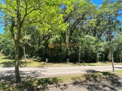 Terreno em condomínio fechado à venda na dos ipês, 1, reserva da serra, canela por r$ 1.600.000