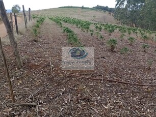 Fazenda em Centro, Abre Campo/MG de 1180000000m² 2 quartos à venda por R$ 449.000,00