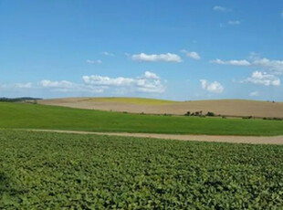 Fazenda em Zona Rural, Lapa/PR de 4719000m² 3 quartos à venda por R$ 49.999.000,00