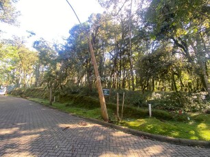Terreno em Bosque Sinossera, Canela/RS de 652m² à venda por R$ 548.000,00