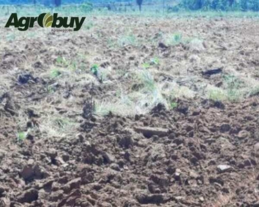 Fazenda Com 6 Mil Hectares no Sul do Pará