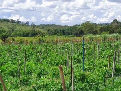 Fazendinhas Financiadas Pelo Valor Deste Anúncio mais Pequenas Parcelas