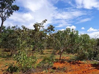 Fazendinhas Planas com Terra para Plantio por 18.991 mais Pequenas Parcelas