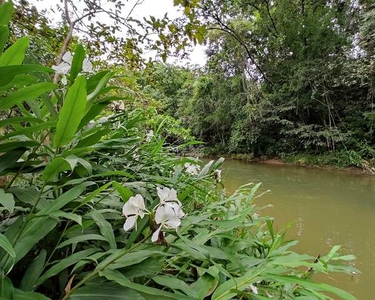 Sítio a VENDA com CASA nova, de 100m², e riacho passando nos fundos, em Major Gercino. Com