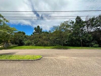 Terreno à venda, 700 m² por r$ 1.500.000,00 - reserva da serra - canela/rs, reserva da serra, canela - rs