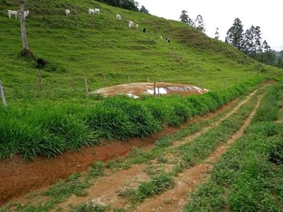 Fazenda Tabuleiro, com capineiras, pastagem em braquiária, nascentes registradas