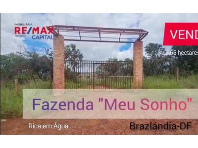 Chácara em Colônia Agrícola Alexandre Gusmão, Brazlandia/DF de 650000m² 3 quartos à venda por R$ 7.499.000,00