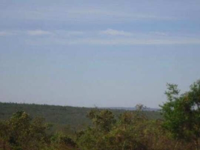 FAZENDA TUPÃ - ÁREA: 1491 hectares. REGIÃO DE ARAPUTANGA MT. Município de Reserva do Cabaç