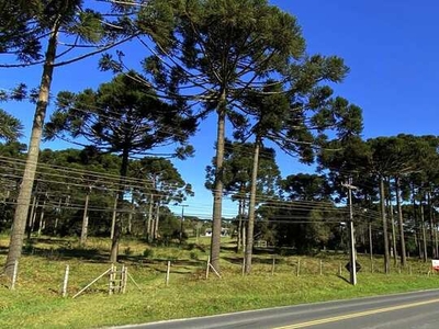 Terreno para Venda em Campo do Meio Campo Largo-PR