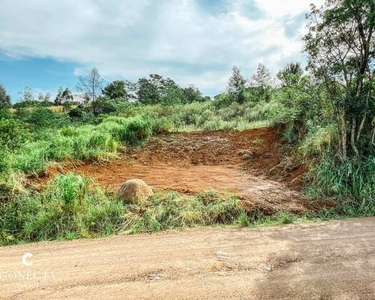 Terreno à venda no bairro Vale Direito em Dois Irmãos/RS