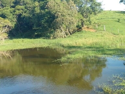 Terreno em Aleluia, Cesário Lange/SP de 9000m² à venda por R$ 249.000,00