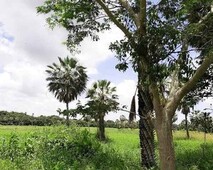 FG- Loteamento Reserva Camará a 7 km do Centro de Eusébio! Condomínio Fechado BM6TP6