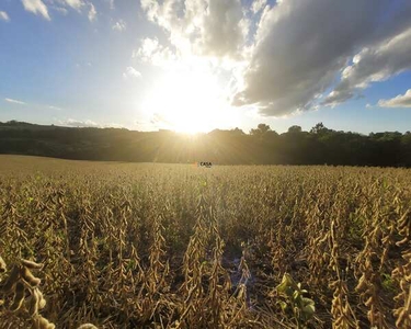 CHACARA RURAL em CAMPO LARGO - PR, BOTIATUVA