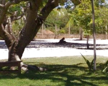 Granja em Pium Chácara com venda por R$315.000