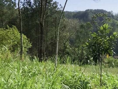 Terreno à venda no bairro Pomerode Fundos - Pomerode/SC, Zona Rural