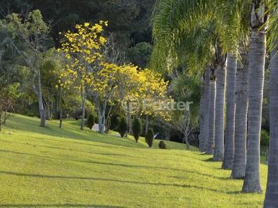 Fazenda / Sítio / Chácara 3 dorms à venda Rodovia RS-020, Vera Cruz - Gravataí