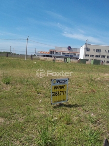 Terreno à venda Avenida Edgar Pires de Castro, Aberta dos Morros - Porto Alegre