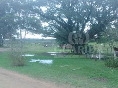 Terreno à venda Avenida Edgar Pires de Castro, Lageado - Porto Alegre