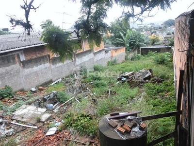 Terreno à venda Rua Aldrovando Leão, Vila Jardim - Porto Alegre