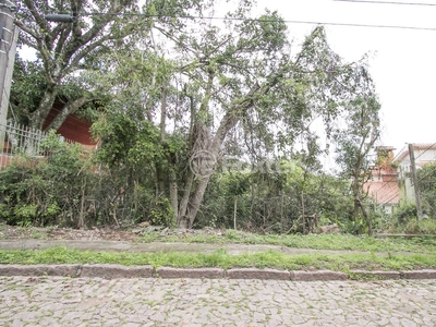 Terreno à venda Rua Doutor Raul Franco Di Primio, Teresópolis - Porto Alegre