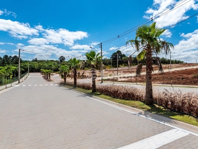 Terreno à venda Rua João Borba Maurente, Loteamento Jardim Timbaúva - Gravataí