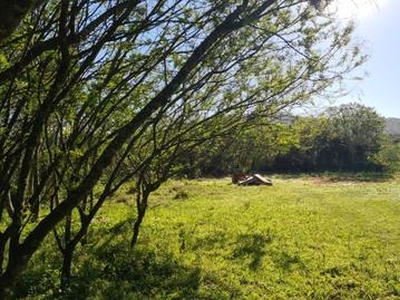 Terreno à venda Rua Oito Mil e Quatorze, Lageado - Porto Alegre