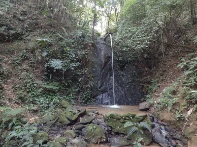 Terreno Em Juquitiba Cachoeira - Baixei Para Vender Logo!!