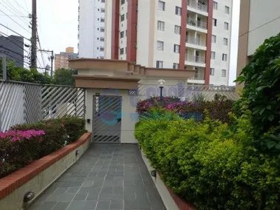 Apartamento Vila Gomes, São Paulo,70m2, contendo 3 dormitórios, 2 banheiros, sala para 2 a