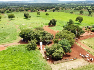 Fazenda À Venda Com 113 Hectares, Dupla Aptidão A 90 Km De Unai-mg