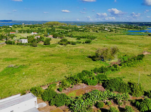 Fazenda Em Santo Estevão Bahia ( Arrendamento Ou Aluguel)