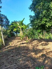 Lote à venda no bairro Duquesa II (são Benedito), 360m²