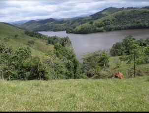 Ótima Fazenda Em Rio Preto Mg/ Próxima À Juiz De Fora Mg