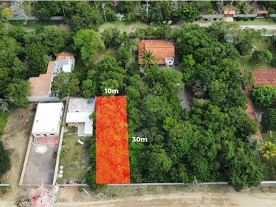 Terreno 300m2, murado, arborizado, ótimo bairro