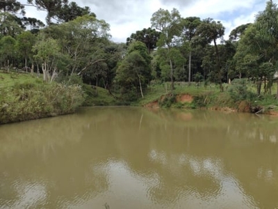 Terreno à venda, 40.713,00 m² mandirituba, pr