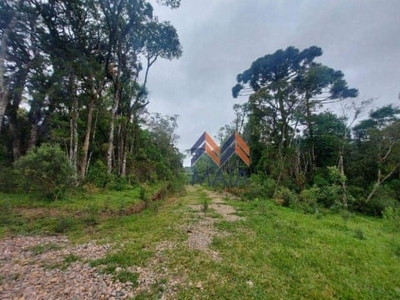 Terreno à venda, 1000 m² por r$ 145.000,00 - area rural - são josé dos pinhais/pr