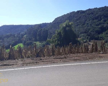 Área de terra bairro Nove Colônia, Nova Petrópolis RS