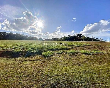 Juiz de Fora - Terreno Padrão - São Pedro