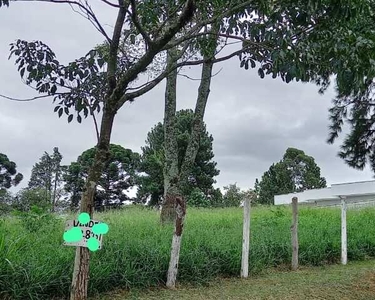 Lote - Venda - Carapicuíba - SP - Chácara Santa Lúcia