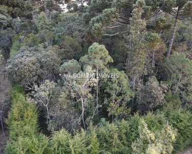 TERRENO RESIDENCIAL em CAMPOS DO JORDÃO - SP, Região do Alto da Boa Vista