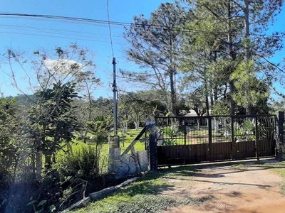 Fazenda / Sítio / Chácara com 2 Quartos à venda, 90m² - Lageado