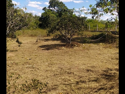 Terreno para chácara em Matinha - Feira de Santana