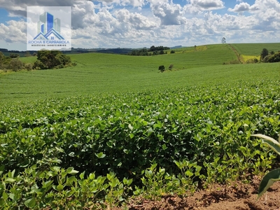 Fazenda em Da Bandeira (Lavrinha), São Miguel Arcanjo/SP de 726000m² 2 quartos à venda por R$ 5.999.000,00